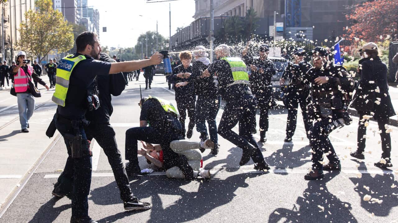 IMMIGRATION RALLY MELBOURNE