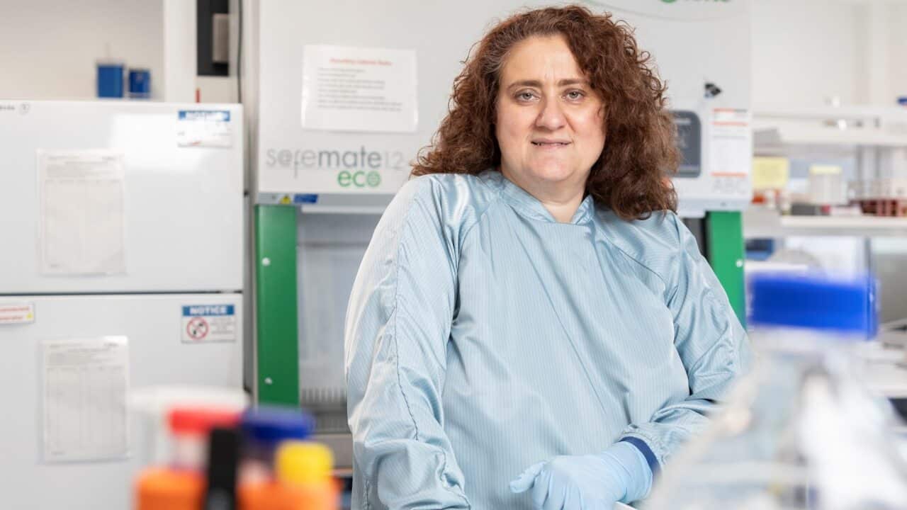 Victoria University's Professor Vasso Apostolopolous and her team are hoping to develop a vaccine against COVID-19.