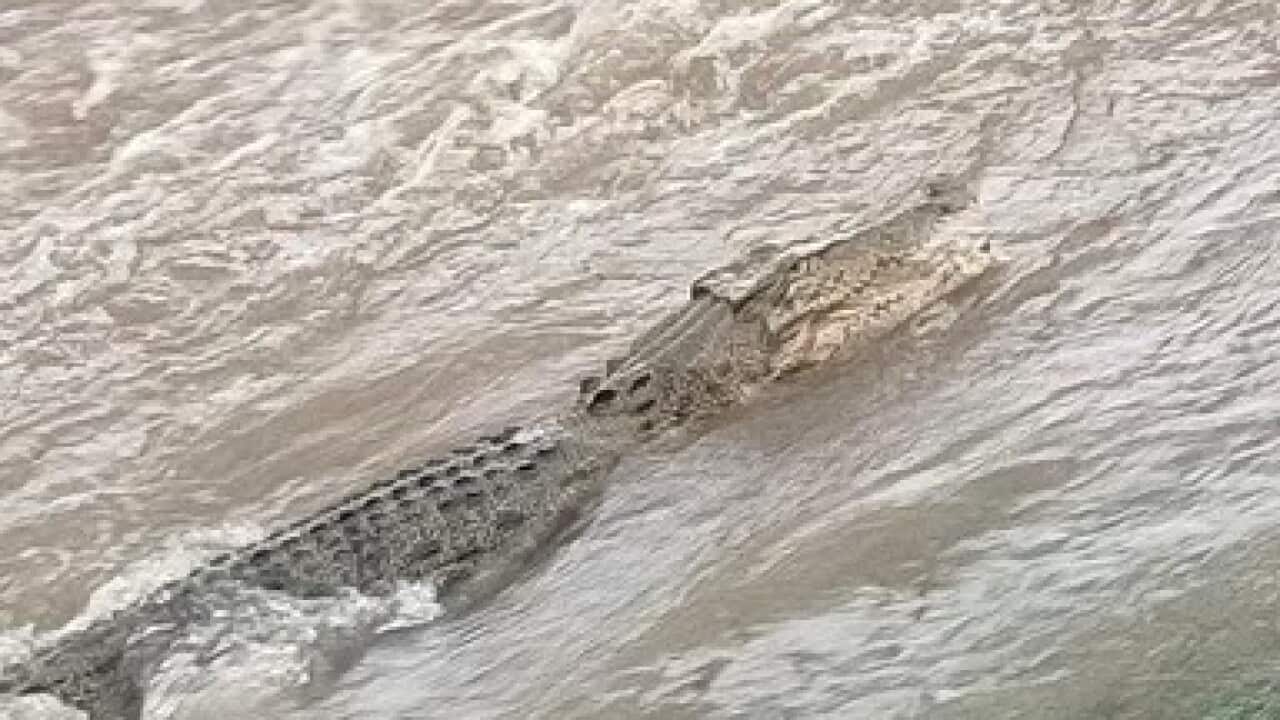 More than 300 rescued from floodwaters in northeast Australia