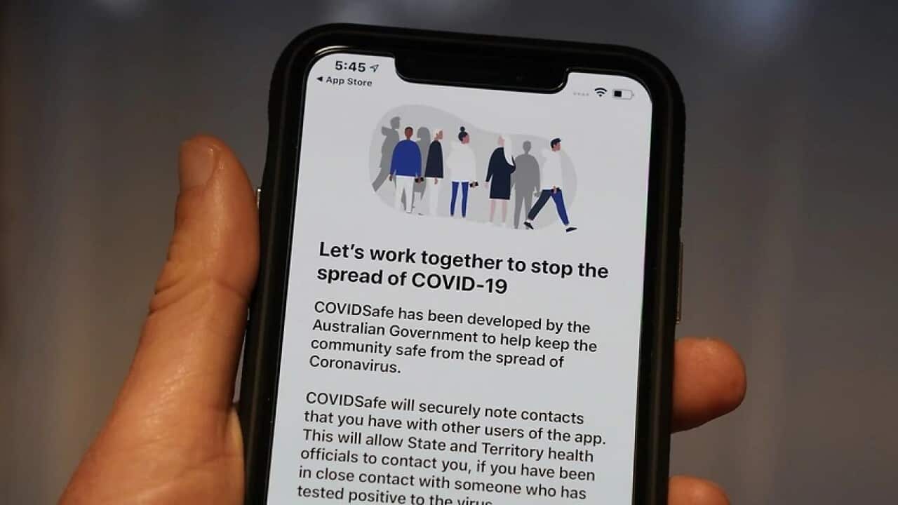 The government's new COVIDSafe voluntary tracing app.
