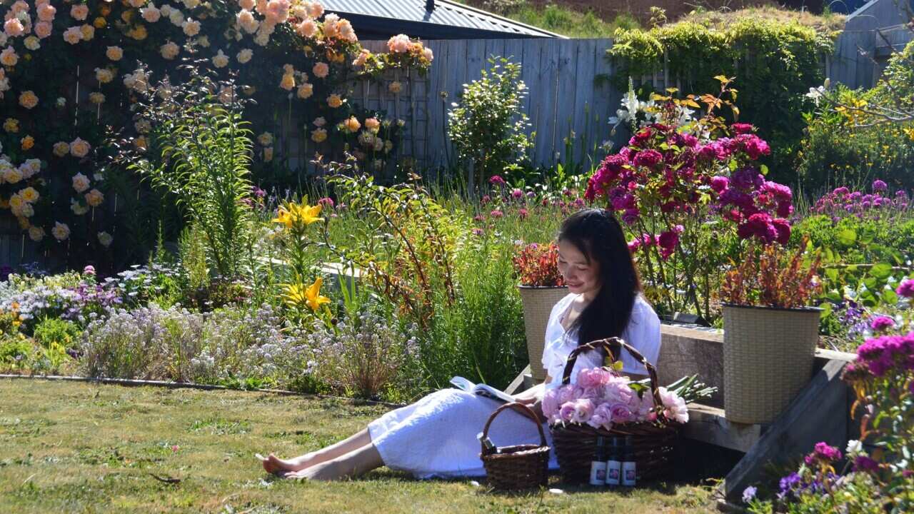 Image for read more article 'READ MORE'