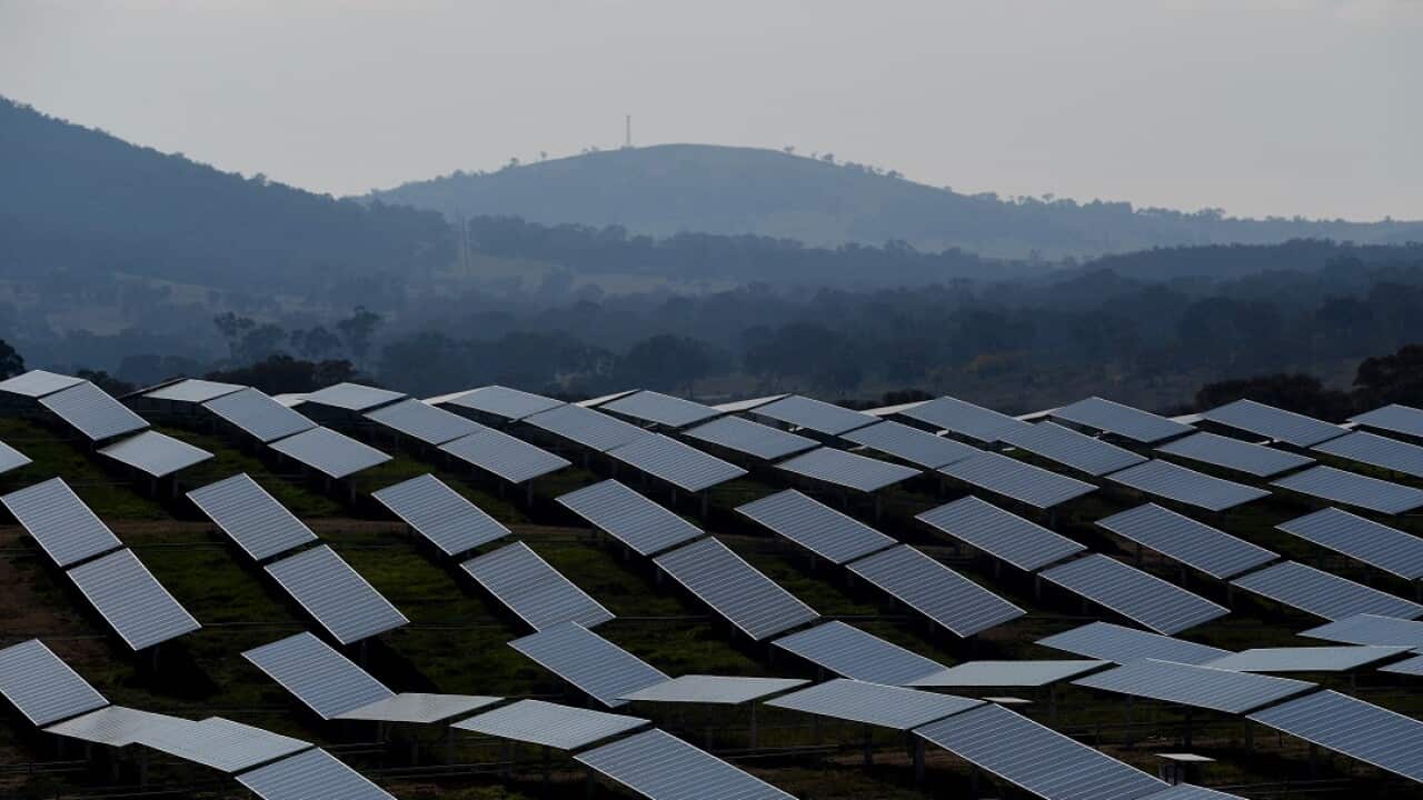Australia will meet its 2020 renewable energy target, the Clean Energy Regulator says. Solar panels are seen at the Williamdale Solar farm outside Canberra, Thursday, May 18, 2017. 