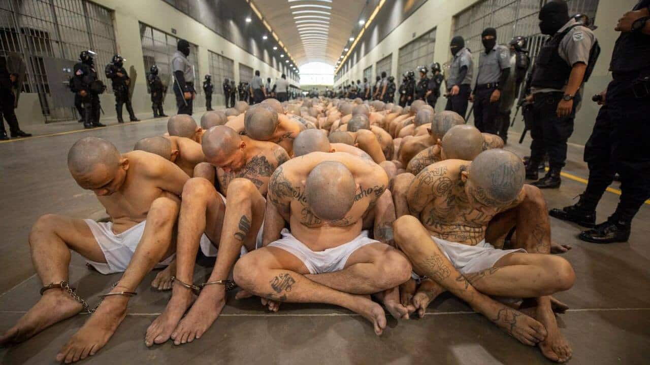 Image for read more article 'Lee también:'