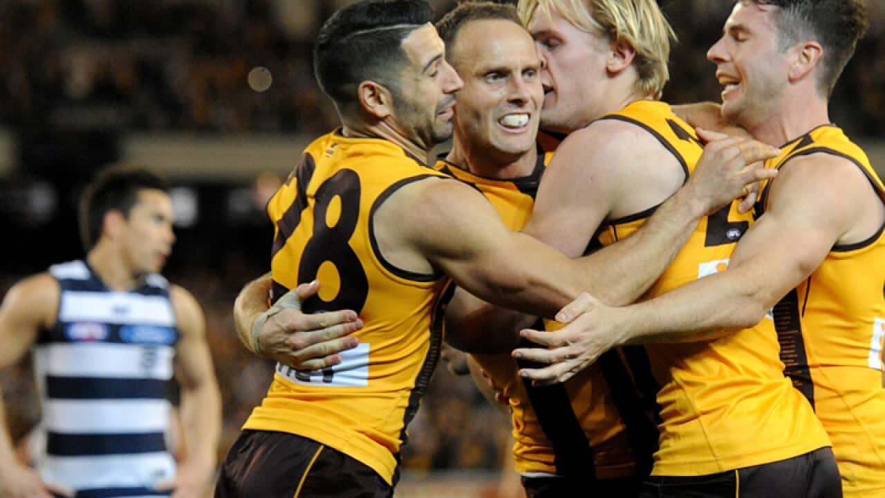 Brad Sewell of Hawthorn celebrates with team-mates