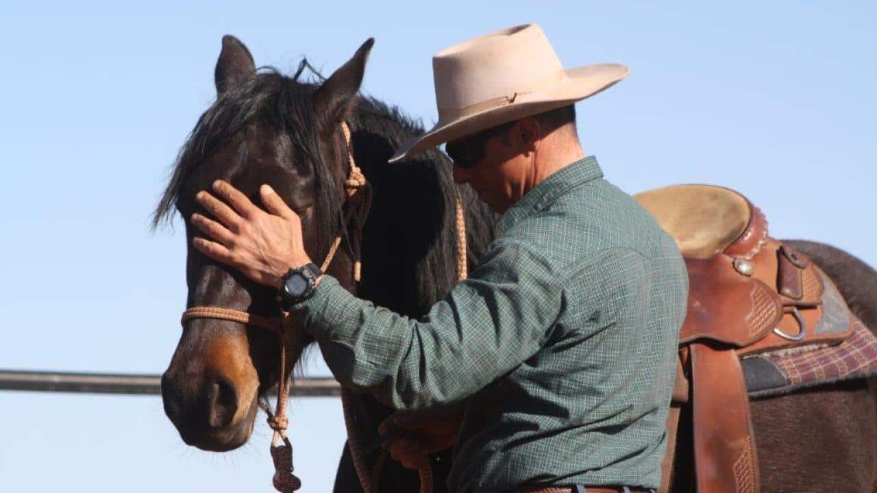 Meet the Aussie 'horse whisperer' whose admirers include Queen Elizabeth II SBS Spanish