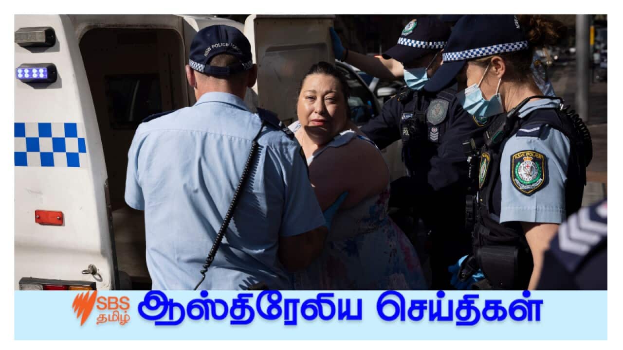 News and Current affairs