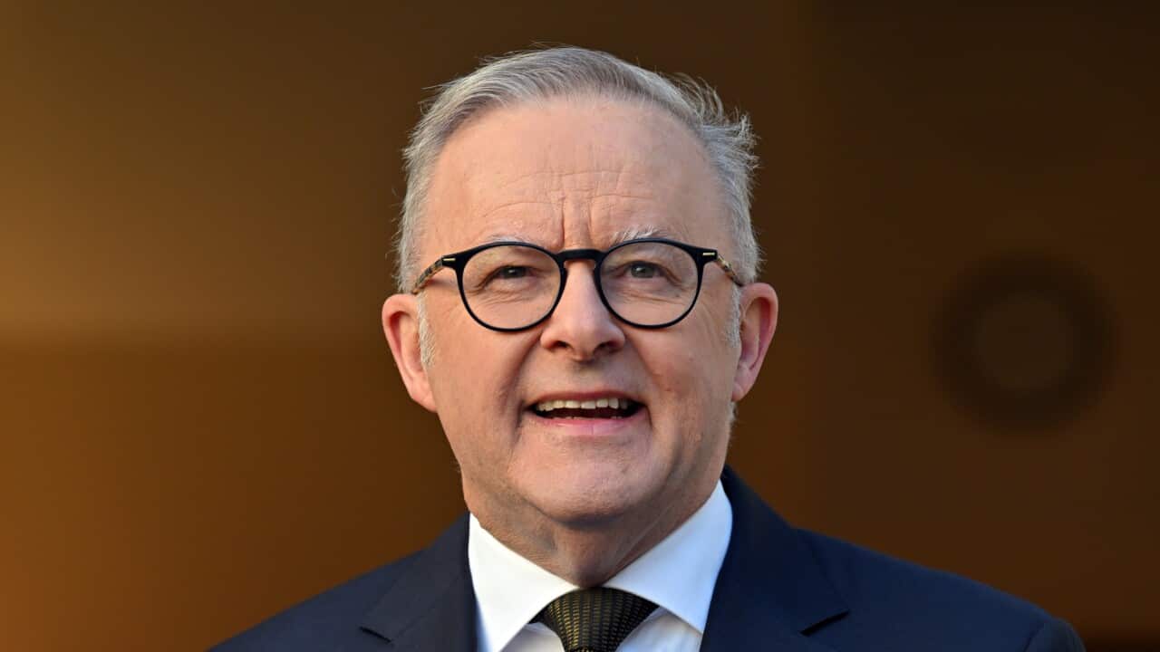 Anthony Albanese is wearing a suit and facing the camera.