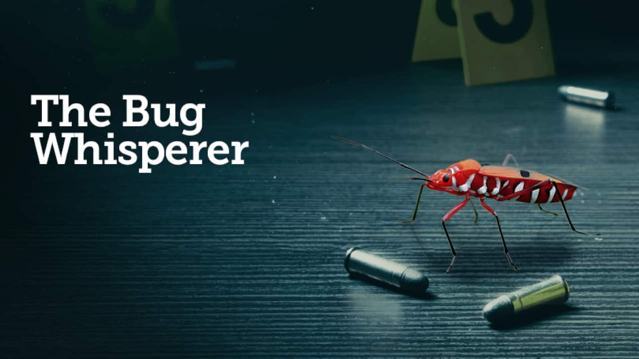 Image for read more article 'Il podcast preferito di Mary Anne'