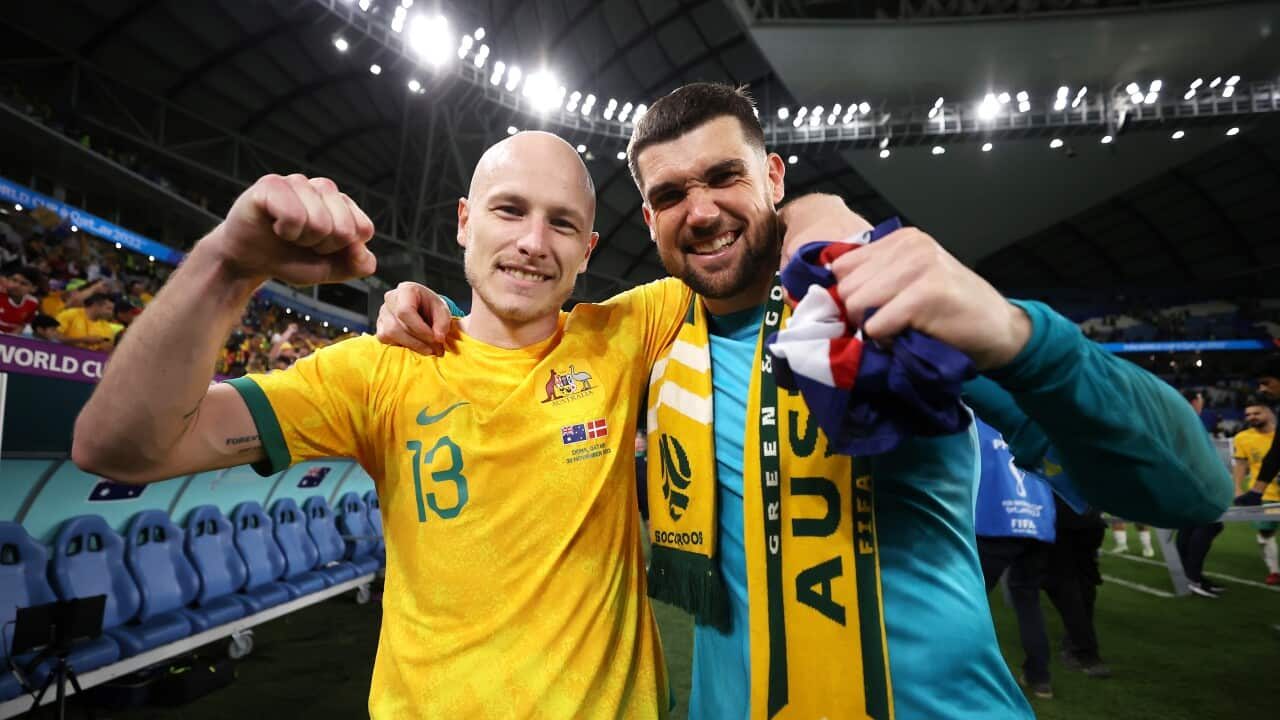 Australia v Denmark: Group D - FIFA World Cup Qatar 2022