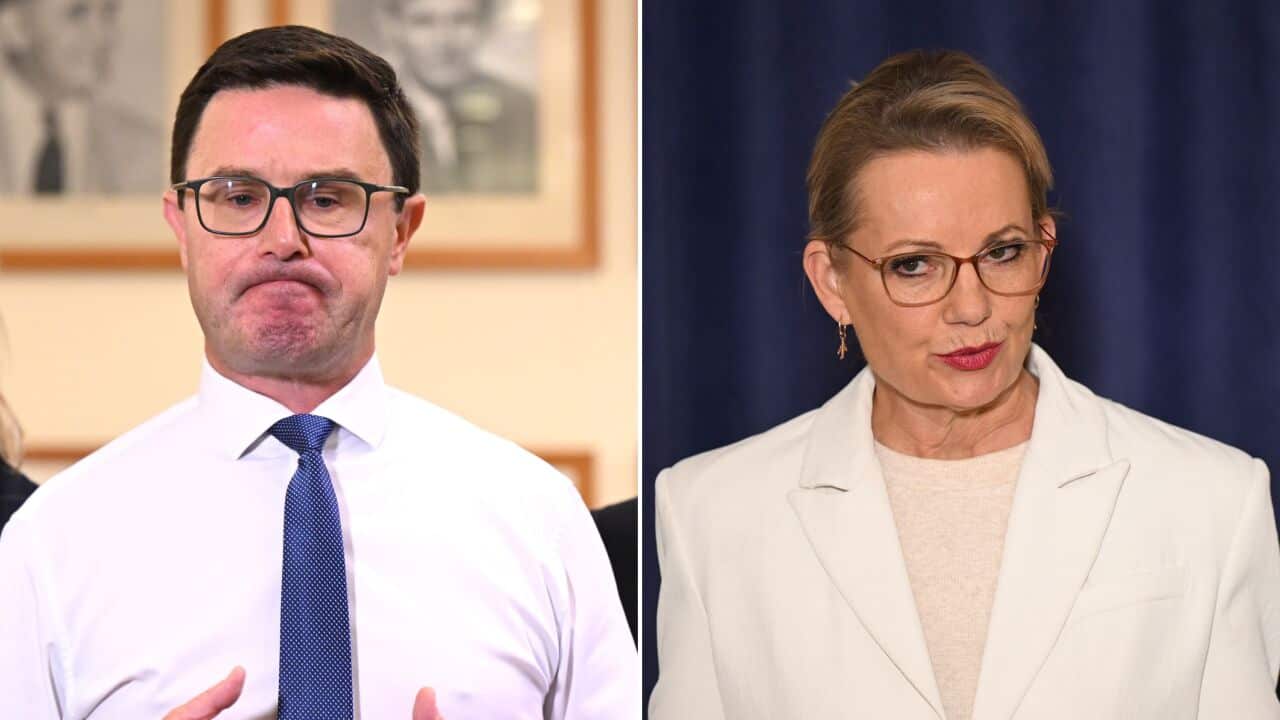 DAVID LITTLEPROUD SUSSAN LEY DIPTYCH