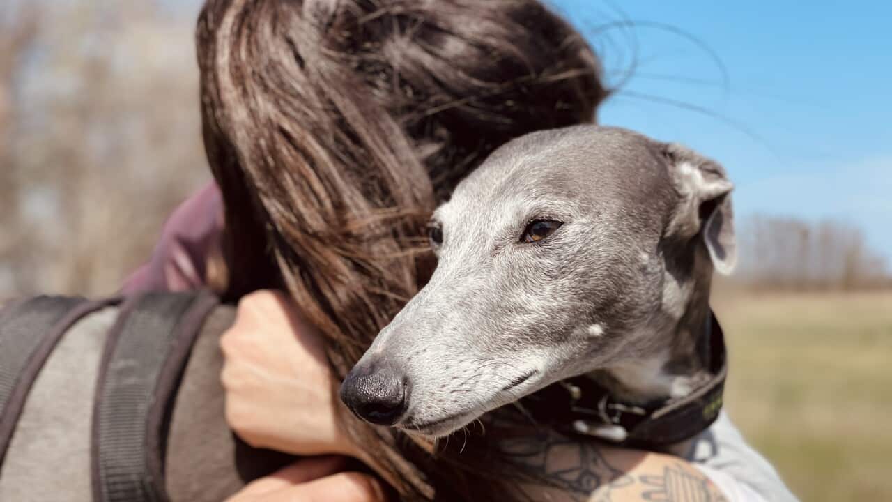 Image for read more article 'READ MORE'