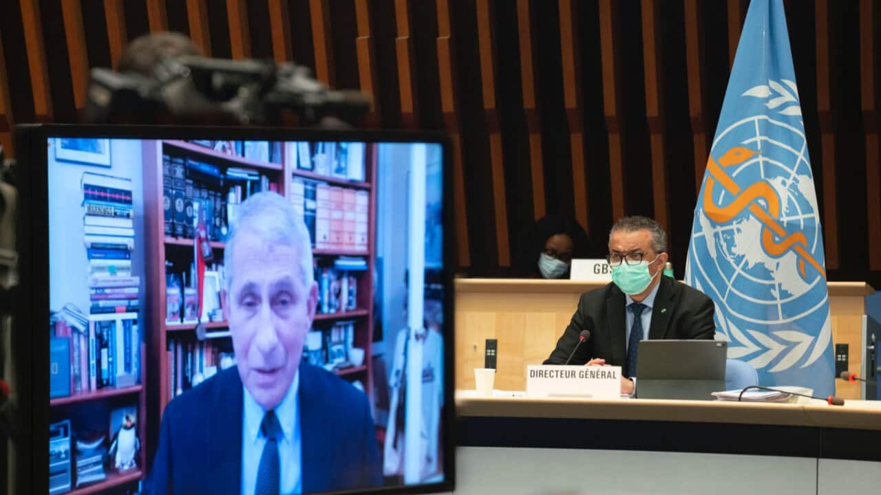 Top US infectious disease expert Dr Anthony Fauci joined the WHO executive board meeting to announce that the US will remain a member.