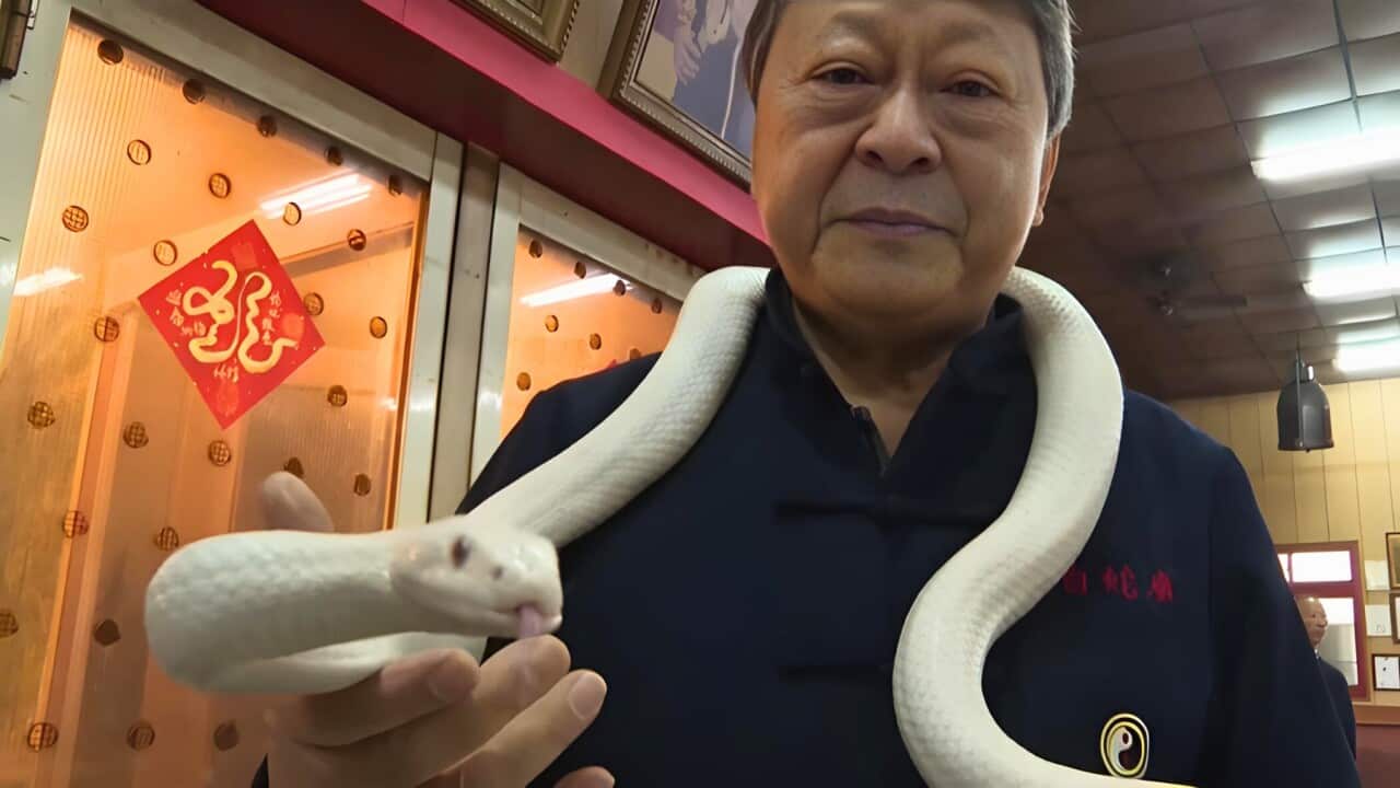 Lo Chin-Sheh with one of his albino rat snakes (AP).jpg