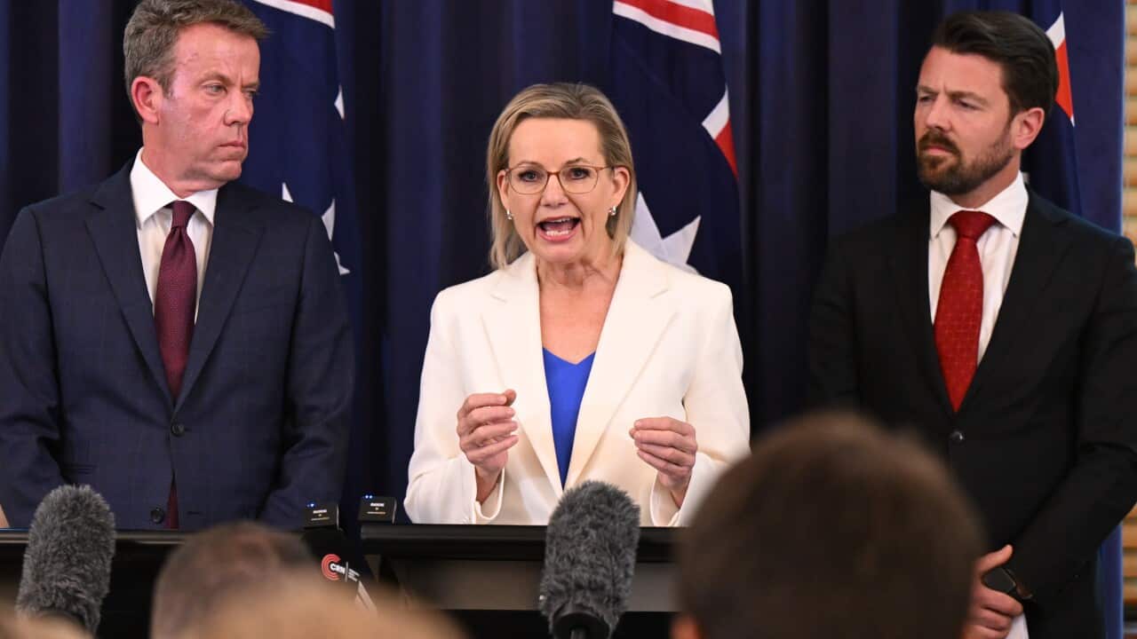 SUSSAN LEY NET ZERO PRESSER