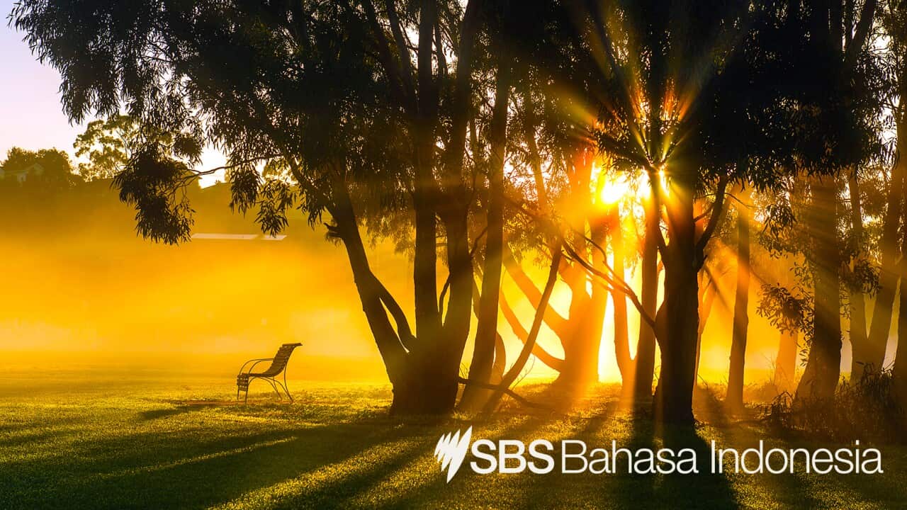 SBS News Indonesian Program – 31 May 2021.