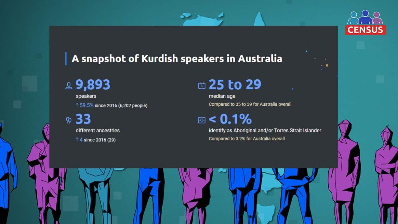 Kurdish speakers in Australia