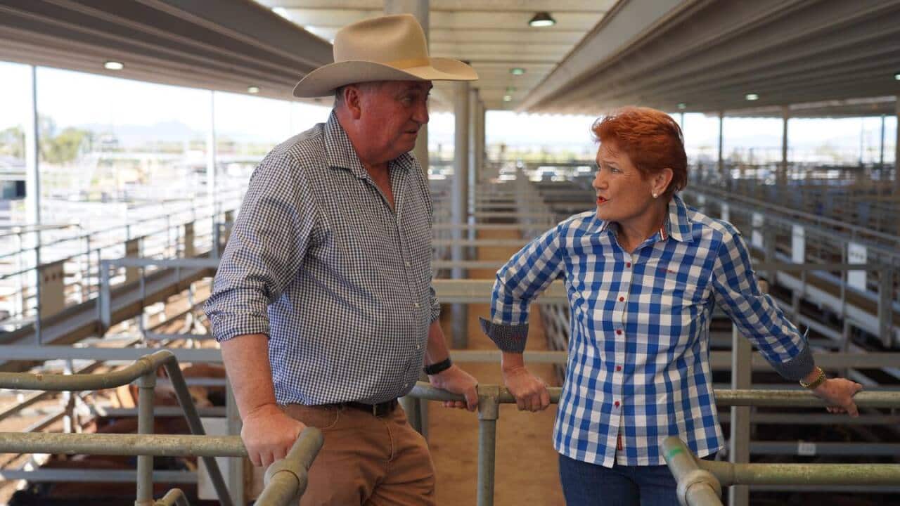 Barnaby Joyce and Pauline Hanson stand in the middle of a saleyard in checkered shirts.