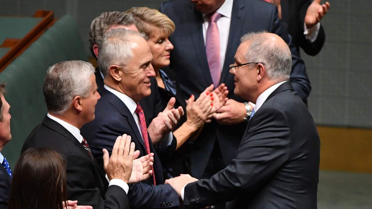 Treasurer Scott Morrison is congratulated by colleagues.