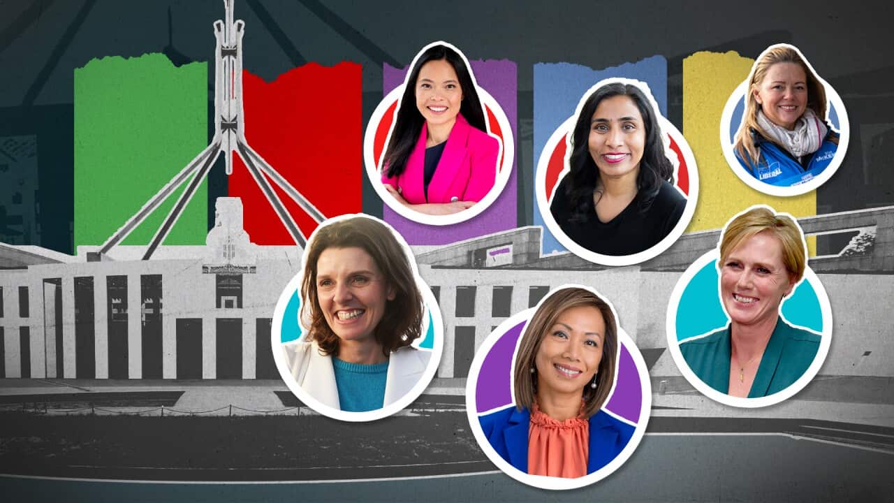 A graphic illustrating more women in parliament.