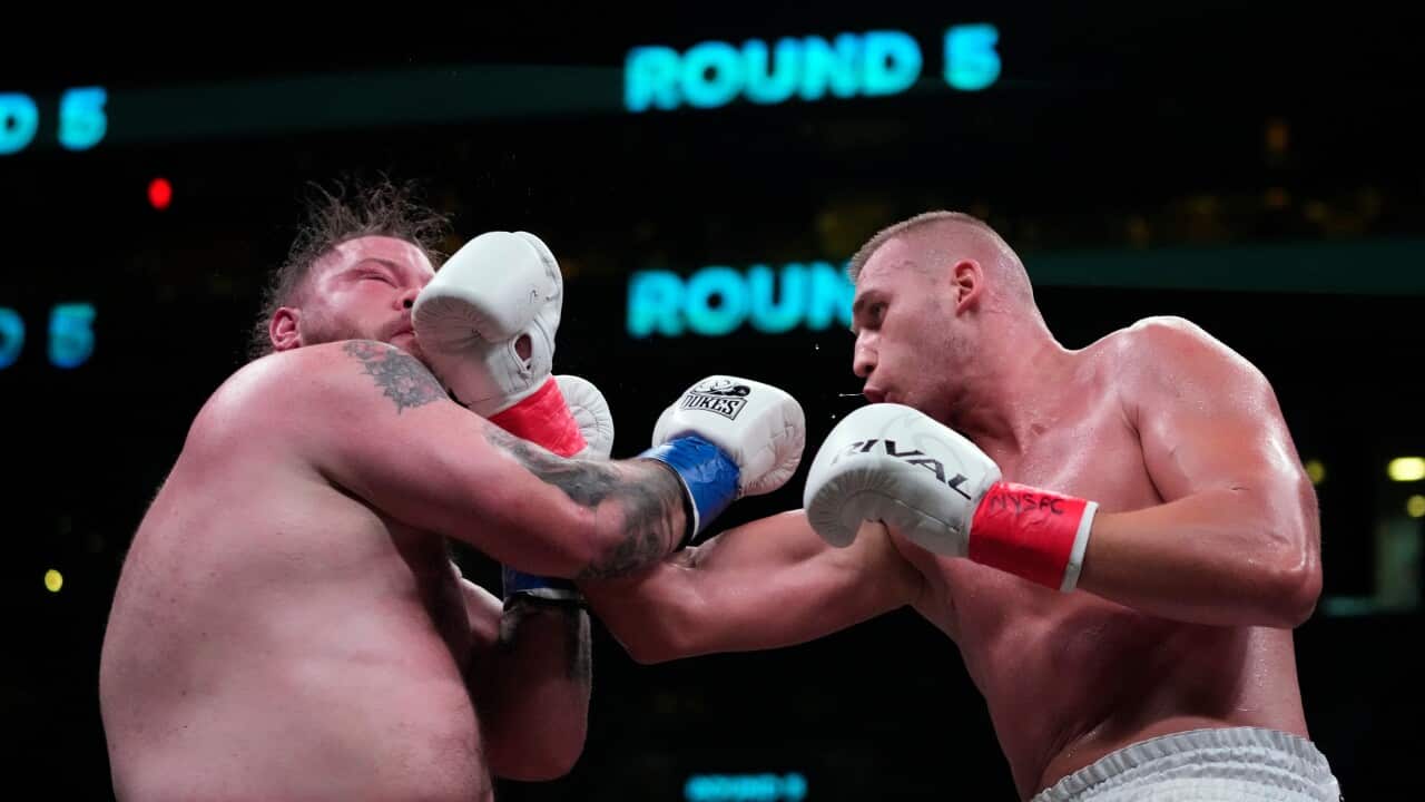 Knyba Dawejko Boxing
