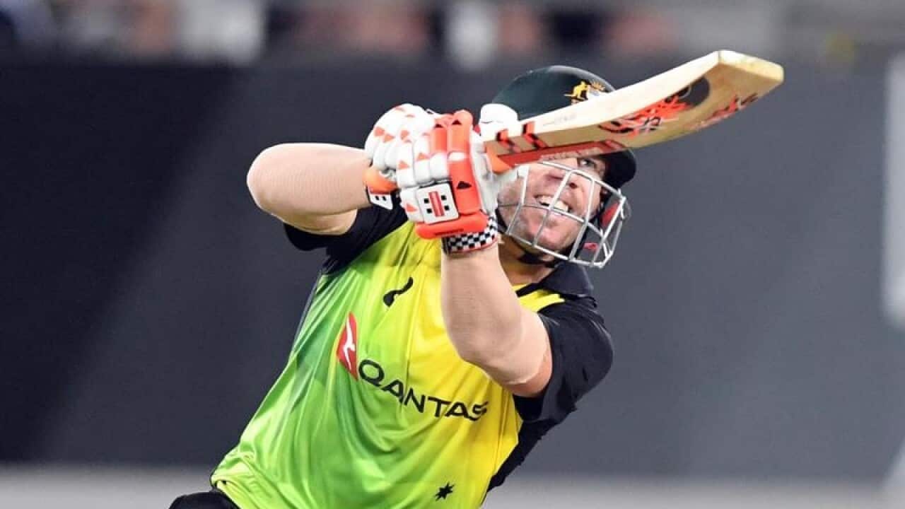 David Warner scoops the ball for a six against New Zealand.