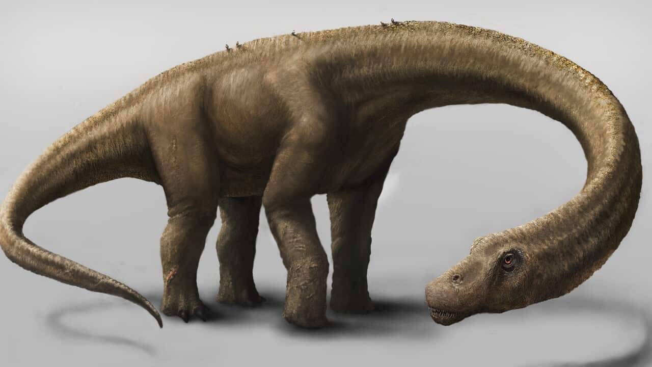 050914_dreadnoughtus_aap.jpg