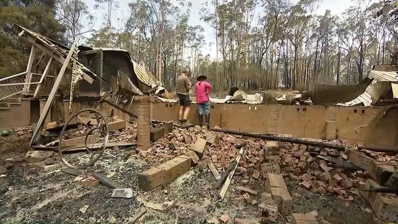 The full impact of the Australian bushfires is not yet known