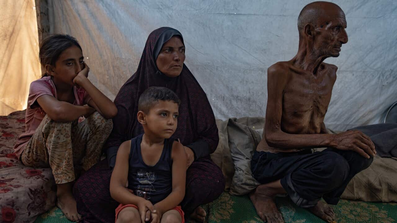 Image for read more article ''