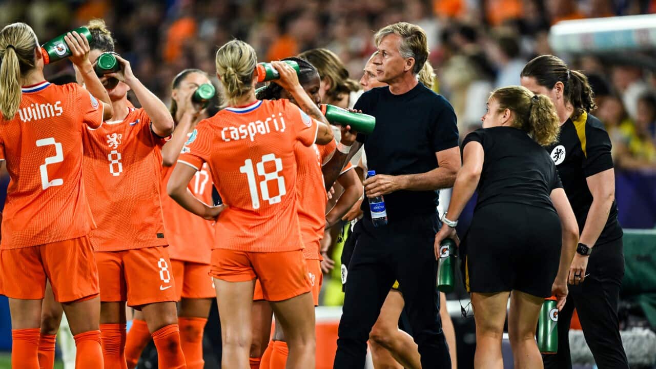 Soccer: European Championship (v), Group D, Netherlands - France (3rd match)