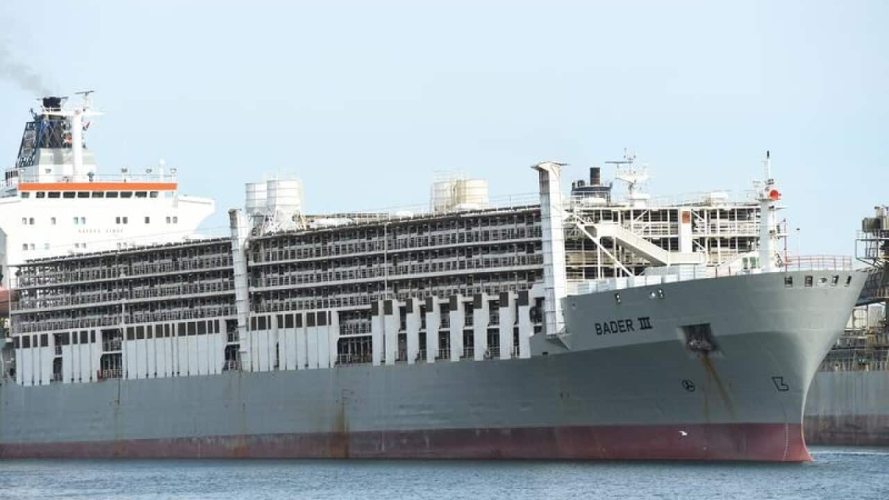 Image for read more article 'Read more'