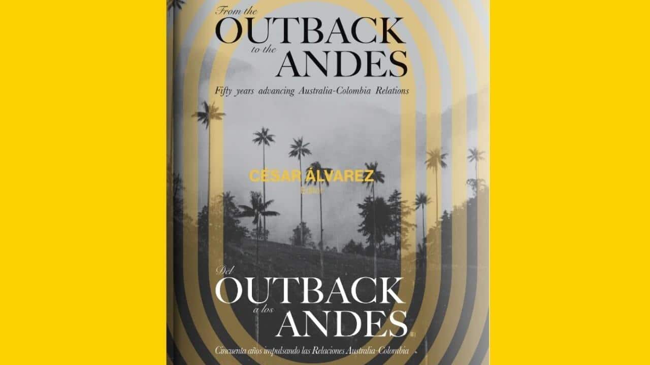 WhatsApp Image 2025-11-03 at 14.08.31.jpeg