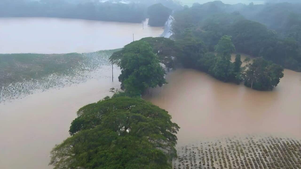 The hottest year in history - and Australia could see more extreme weather (AAP).jpg