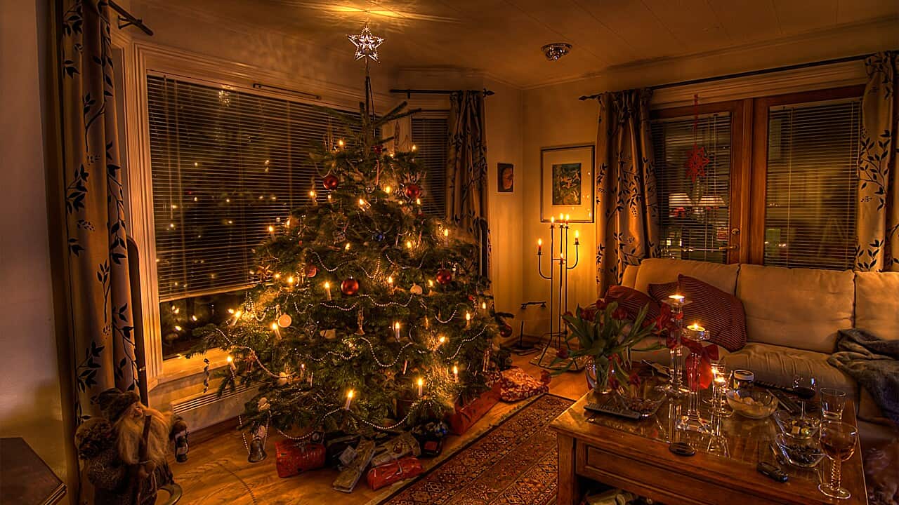 Christmas tree room