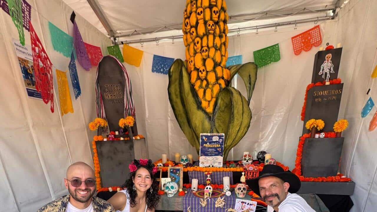 Ofrenda Dia de Muertos Newlands