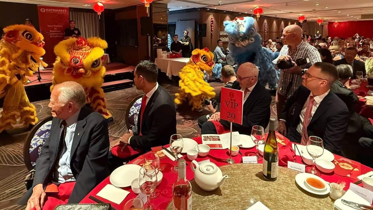 Copy of Image Posts Template (45) (2).jpg