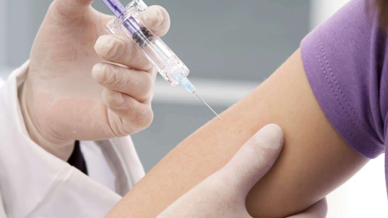 Adult Vaccination