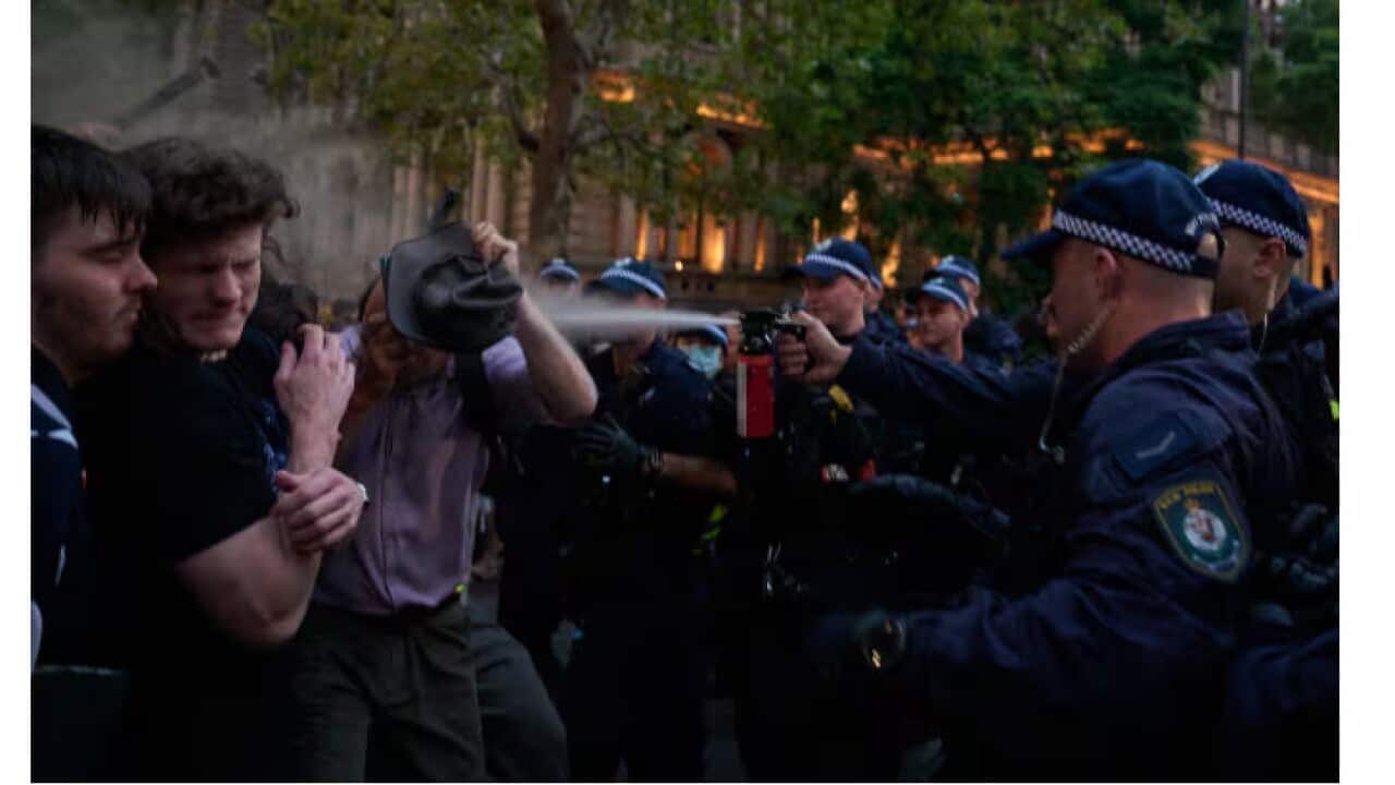 Syd protests AAP.jpg