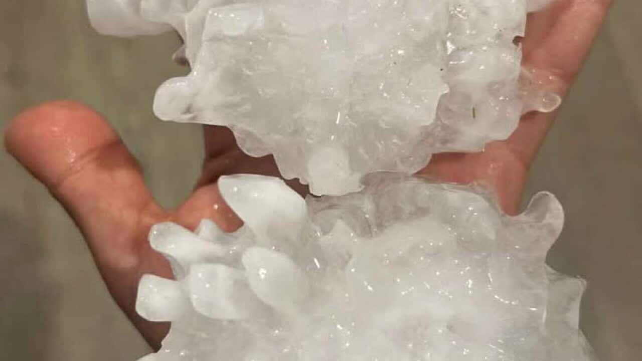 Image for read more article ''