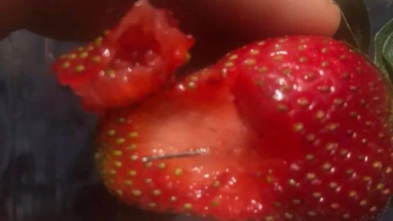 needles in strawberry