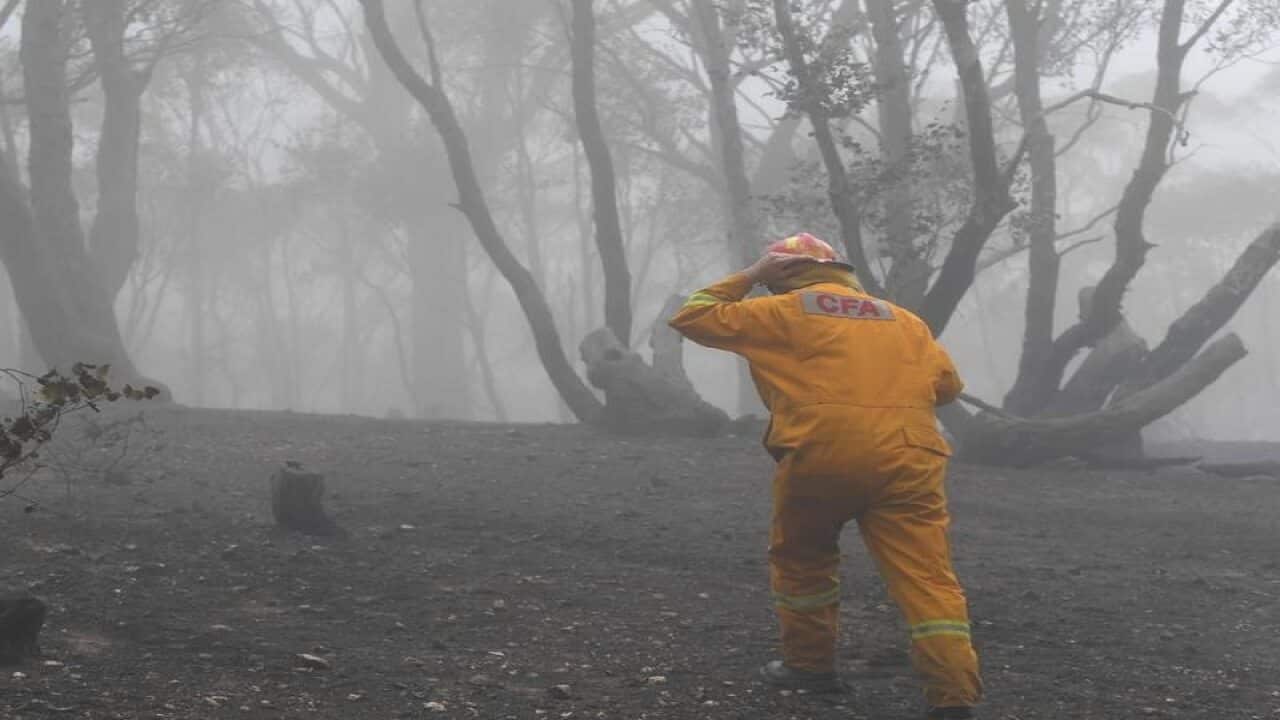 Image for read more article 'READ MORE'