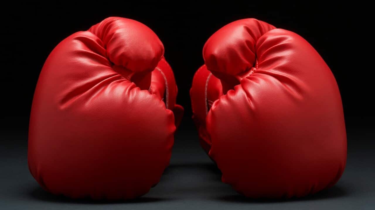 Pair of red boxing gloves
