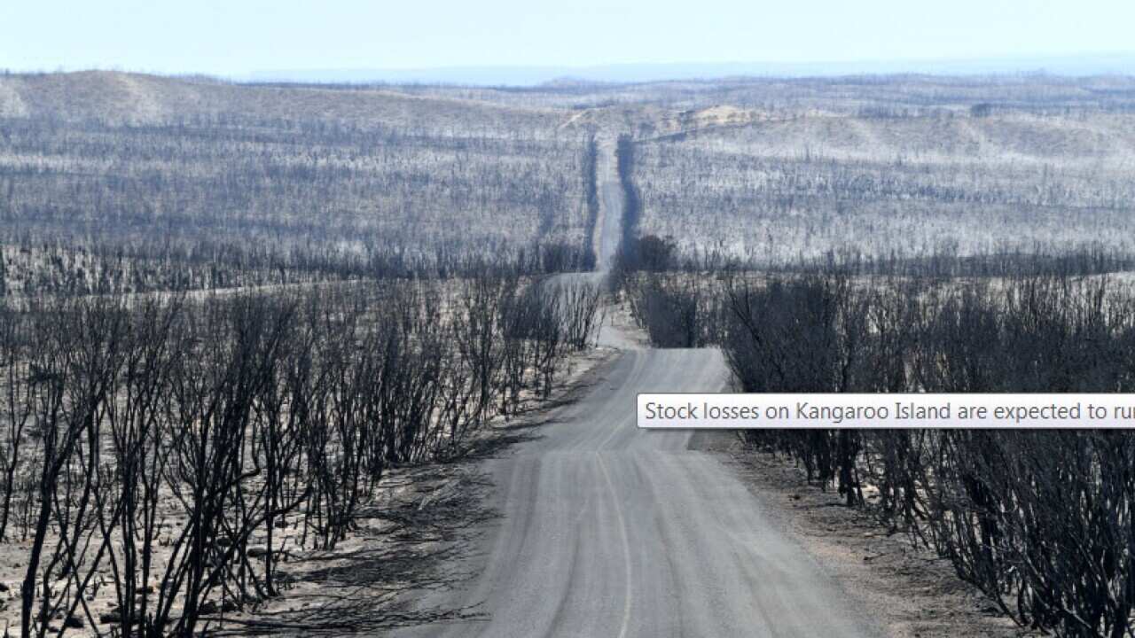 Kangaroo Island Fire