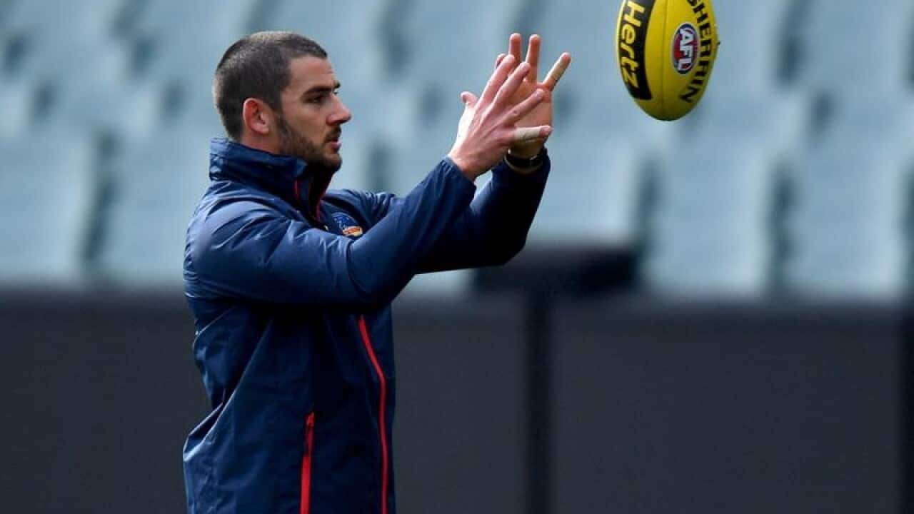 Adelaide Crows captain Taylor Walker