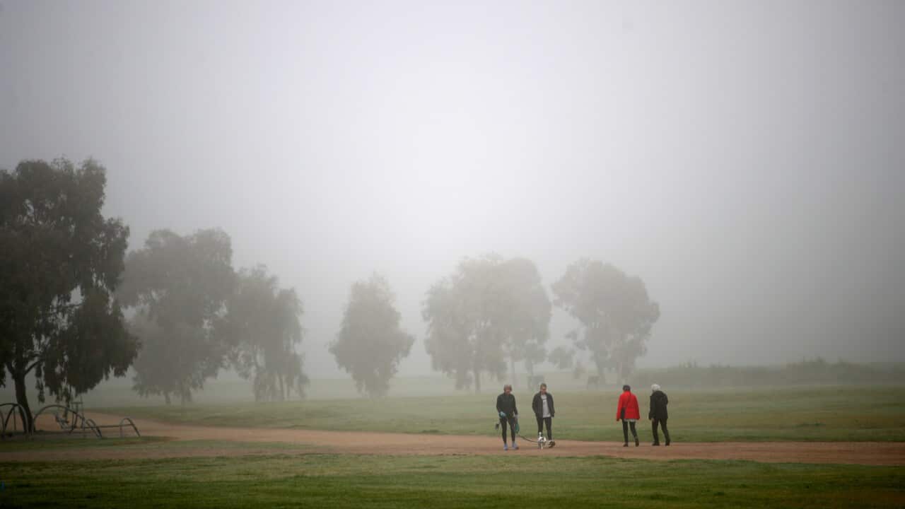 ADELAIDE FOG