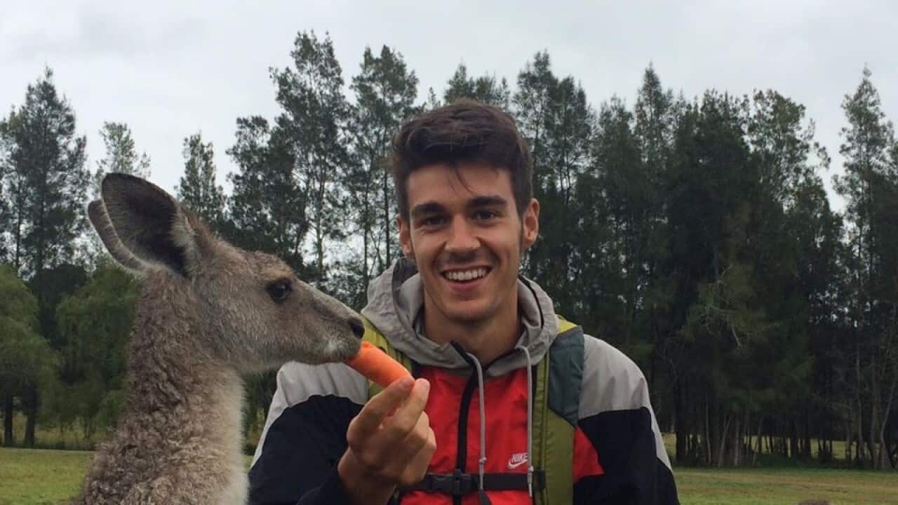 Mattia Baggiani