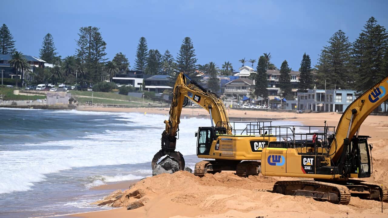 Lavori per contrastare l'erosione costiera a Collaroyn nelle Northern Beaches di Sydney.