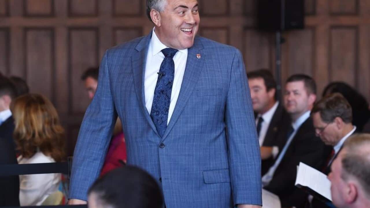 Australia's ambassador to the US Joe Hockey