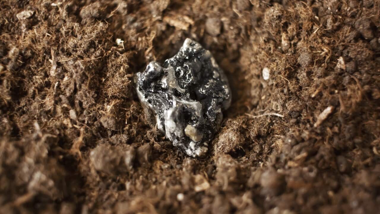 Rare-earth element metals
