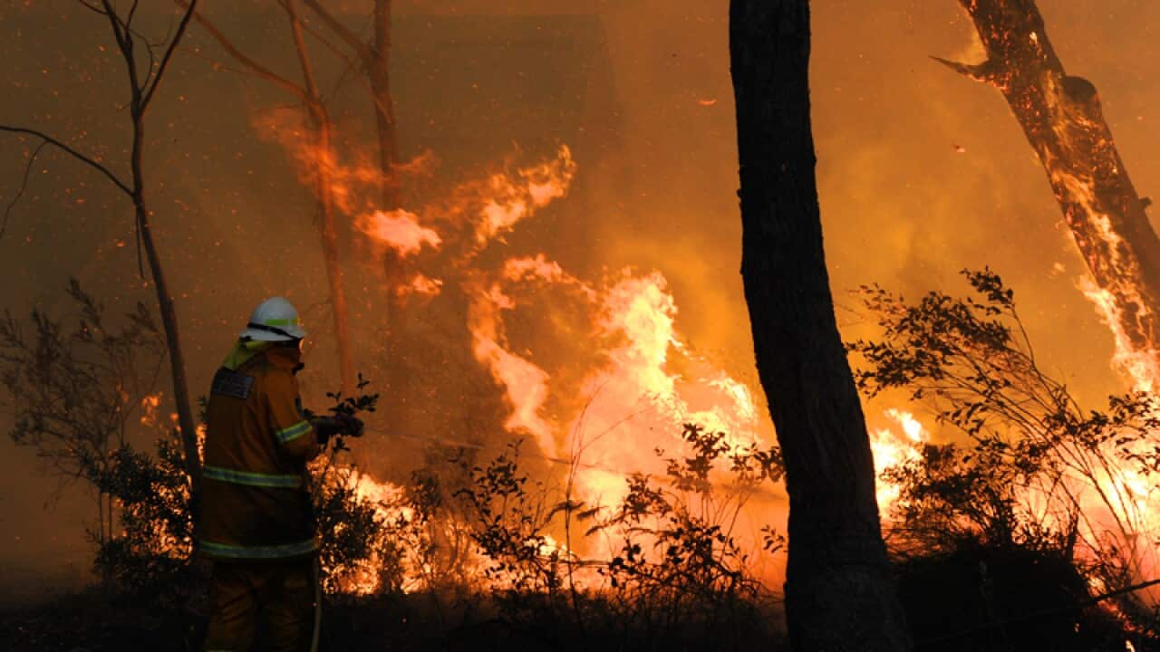 Firefighters battles a blaze in the Blue Mountains region
