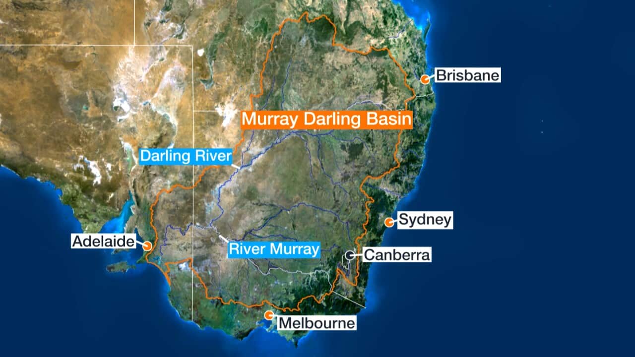 The South Australian government wants a judicial investigation into allegations over the use of water from the Murray-Darling Basin.
